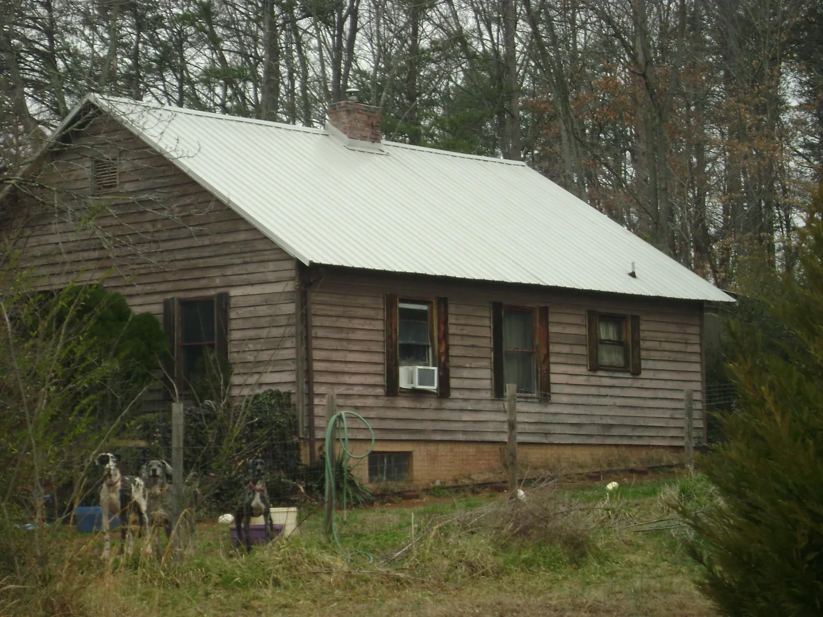White metal roof on an old wood sided farmhouse, from a Asphalt Shingle Roof Repair job in Stanley